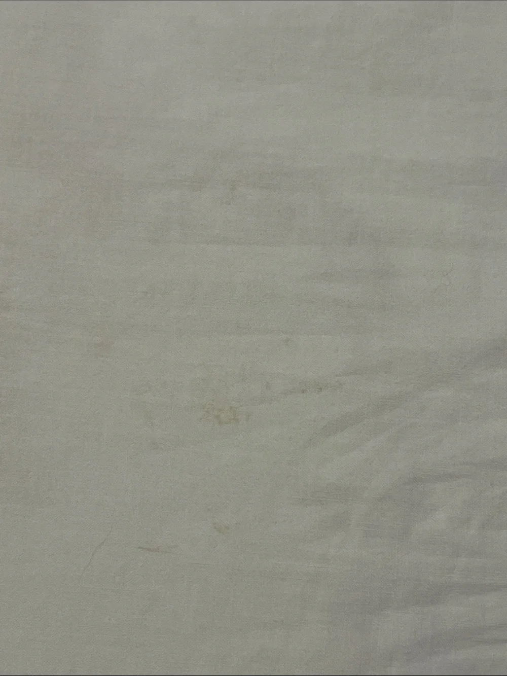 Set of 2, 1950’s Hand-Embroidered Pillowcases- As Is Condition- Light age spots
